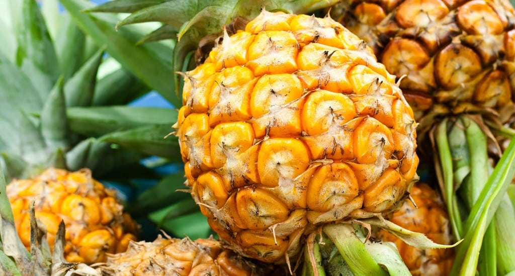 Cuisiner l'ananas : recettes, variétés, nutrition