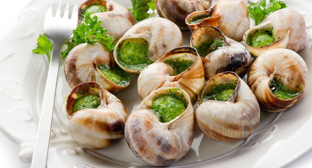 Escargot de Bourgogne : qui est-il ? Où et comment vit-il ?