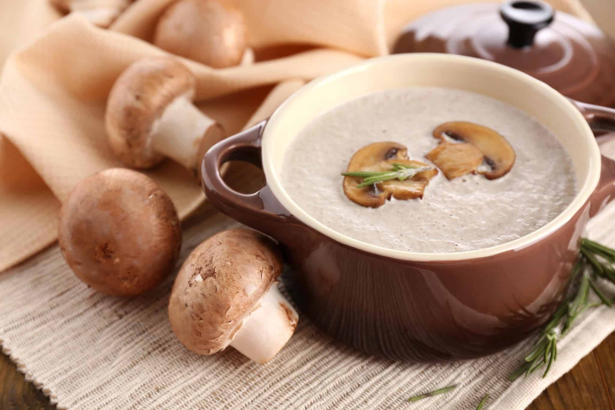 velouté champignons