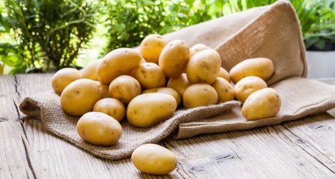 Pommes de terre