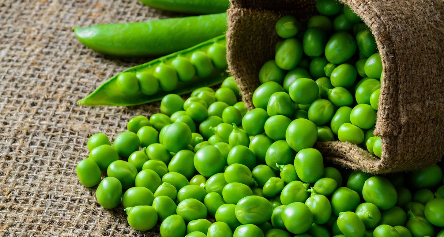 Petit pois : tout savoir sur le petit pois et ses atouts santé