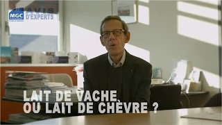 lait de vache ou lait de chèvre